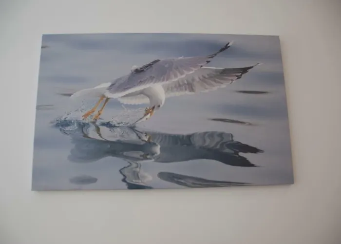 Oportoview Alegria Appartement