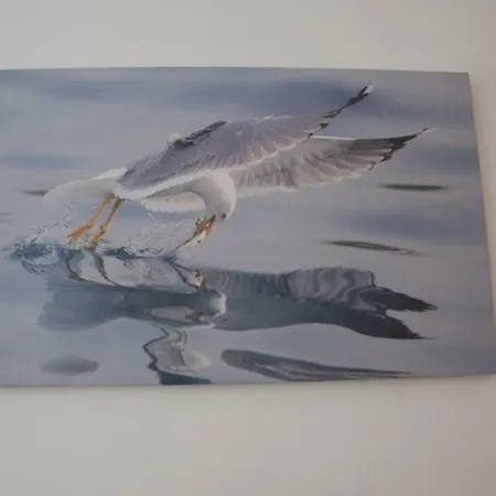 Oportoview Alegria شقة