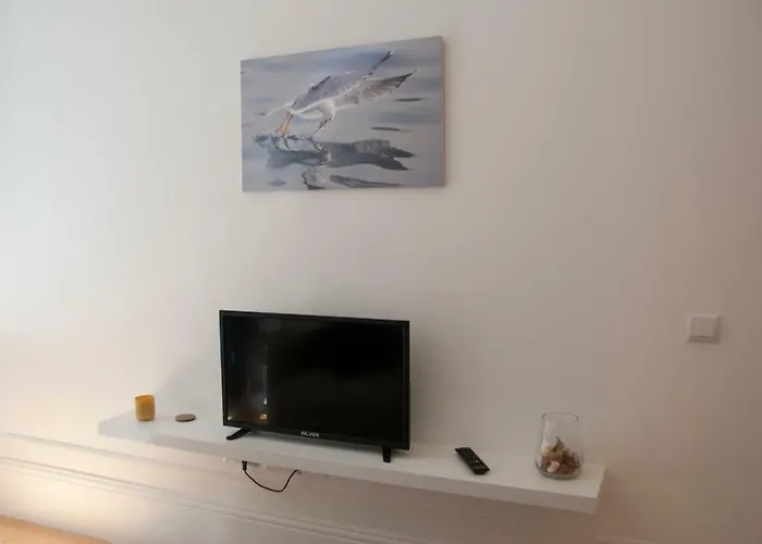 Oportoview Alegria Daire